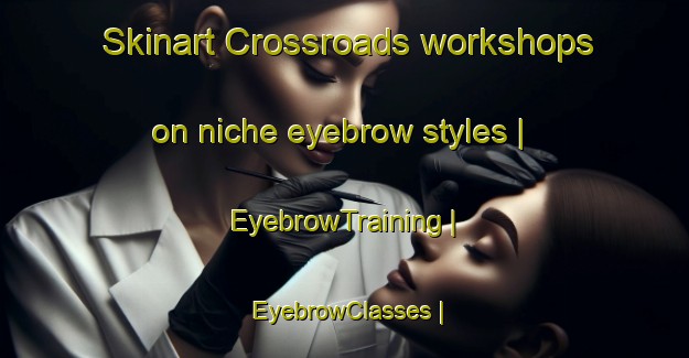 Skinart Crossroads workshops on niche eyebrow styles | EyebrowTraining | EyebrowClasses | SkinartTraining-Canada